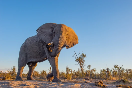 Botswana, Namibia, Sambia (21 Tage)