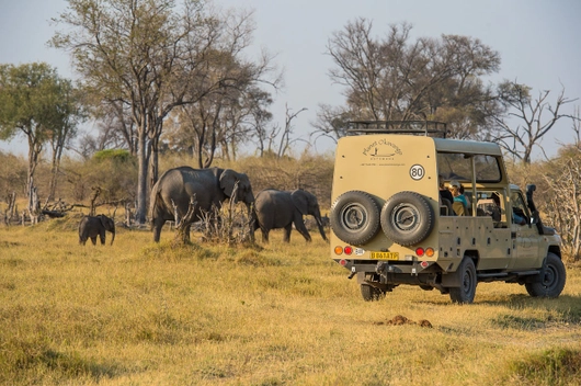 Botswana, Namibia, Sambia (21 Tage)