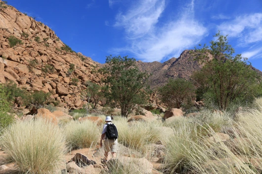 Namibia, Südafrika, Botswana, Simbabwe (21 Tage)