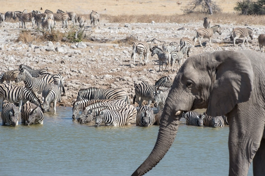 Namibia, Sambia (15 Tage)