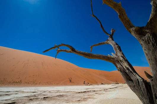 Namibia, Botswana, Sambia (21 Tage)