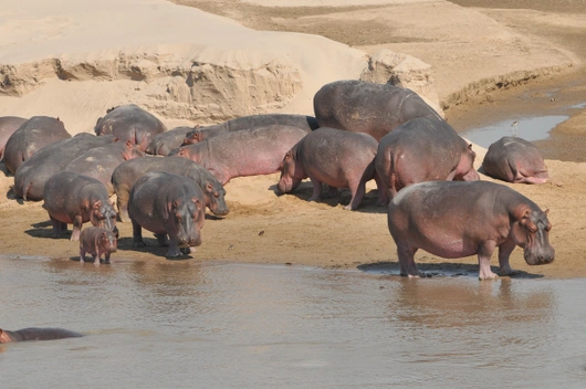 Sambia, Malawi (16 Tage)