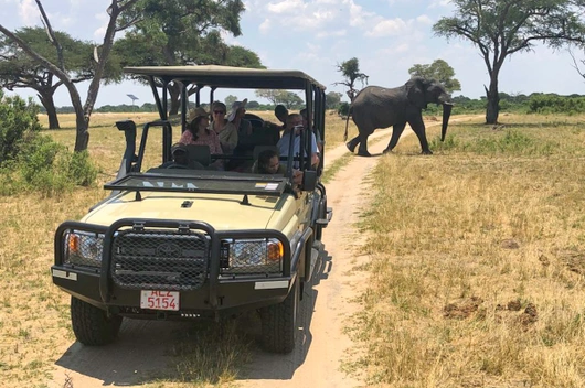 Simbabwe, Botswana, Namibia (15 Tage)