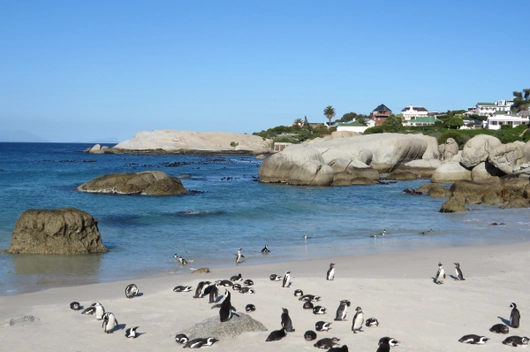 Südafrika, Namibia, Botswana, Simbabwe (21 Tage)