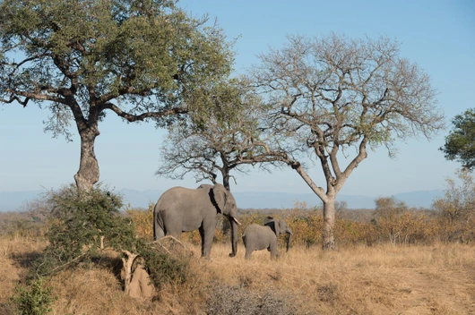 Südafrika, Namibia (13 Tage)