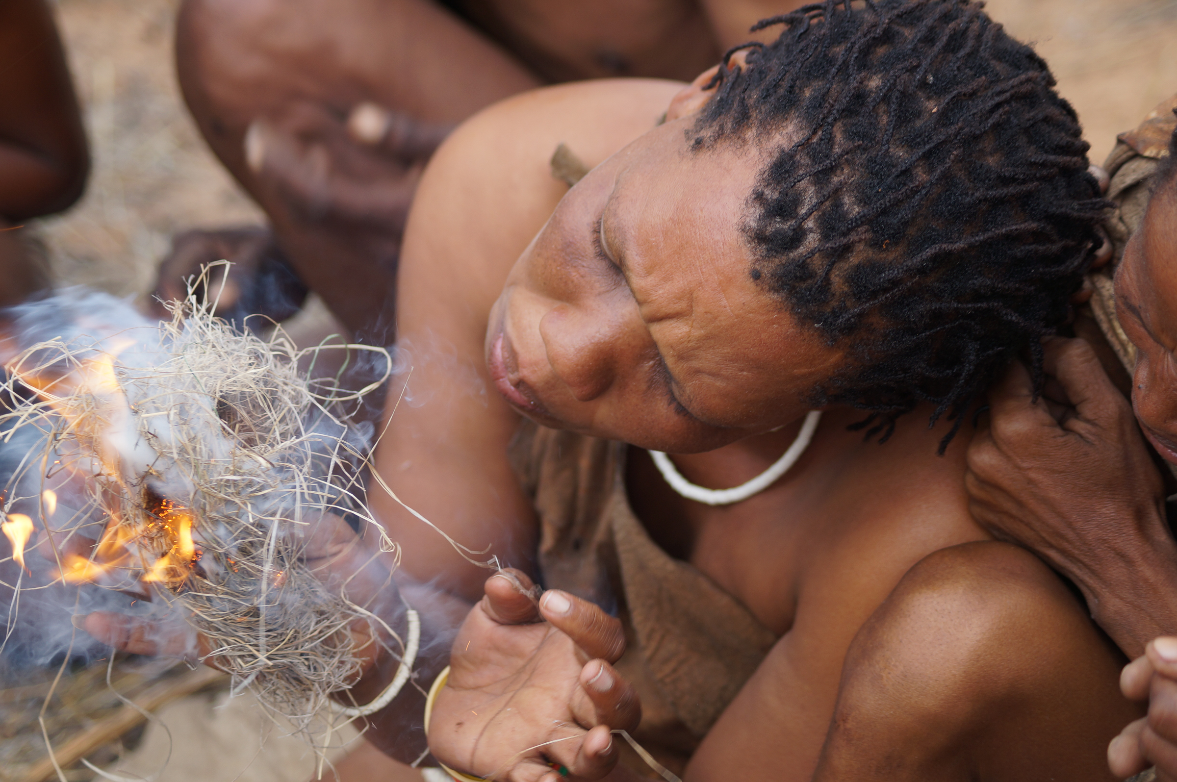 Botswana, Südafrika, Simbabwe (16 Tage)
