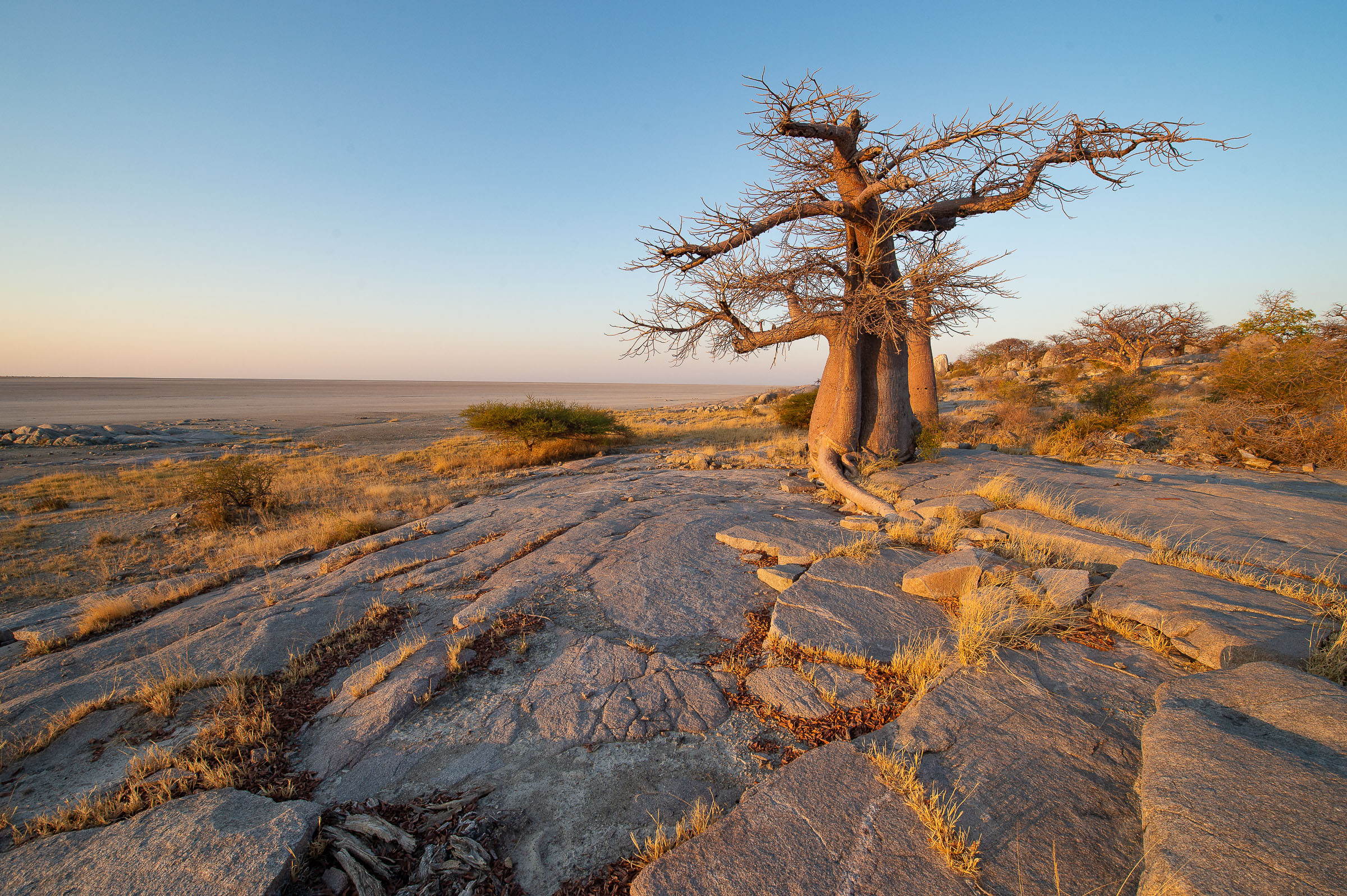 Simbabwe, Botswana (11 Tage)