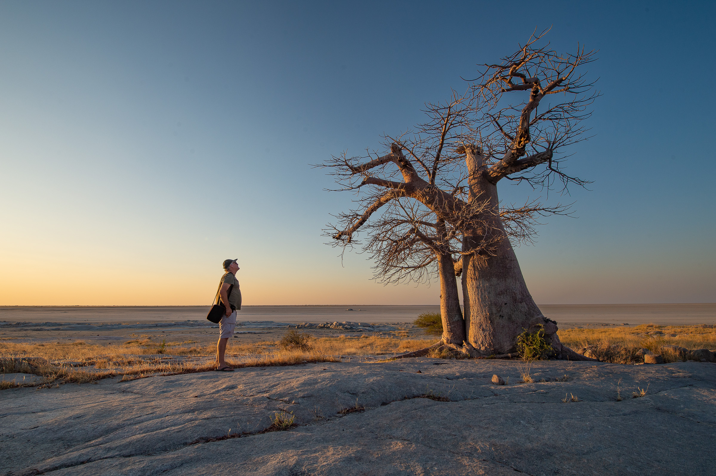 Botswana, Südafrika, Simbabwe (16 Tage)