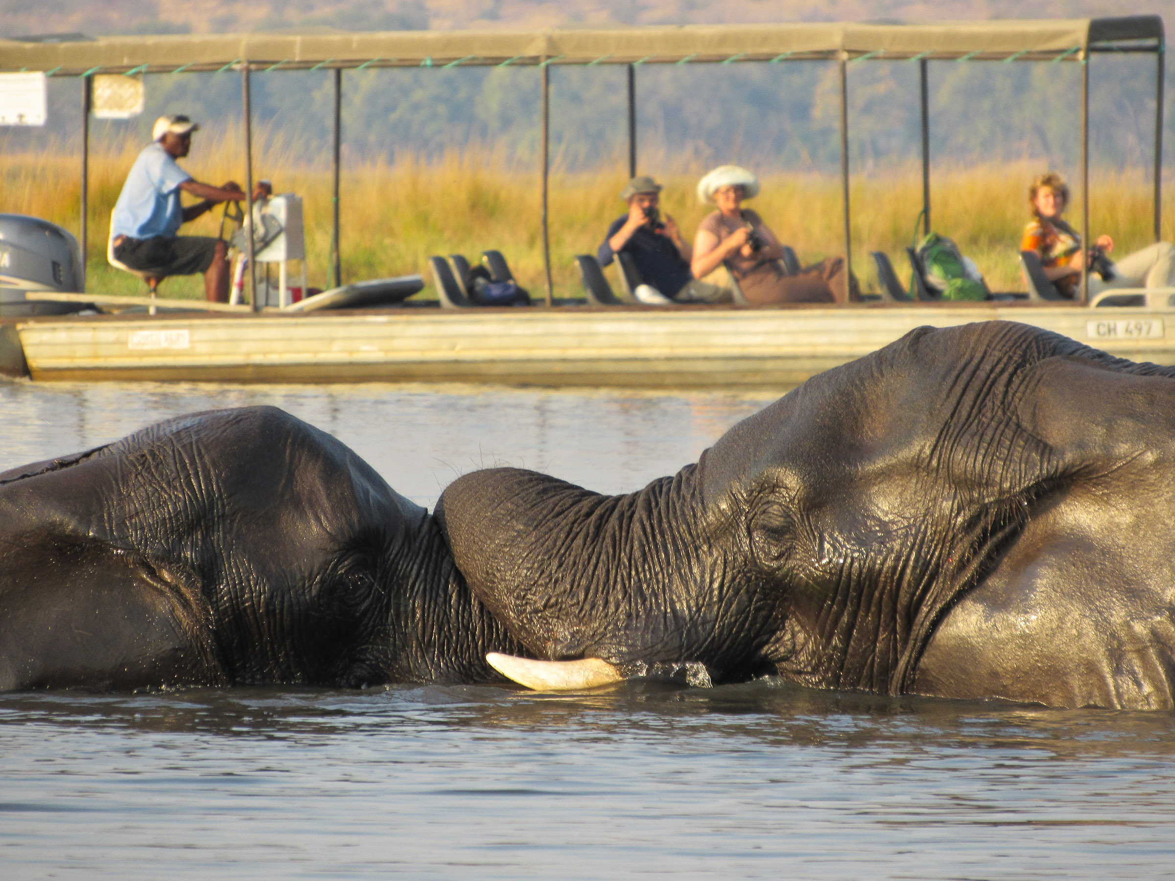 Botswana, Namibia, Simbabwe (21 Tage)