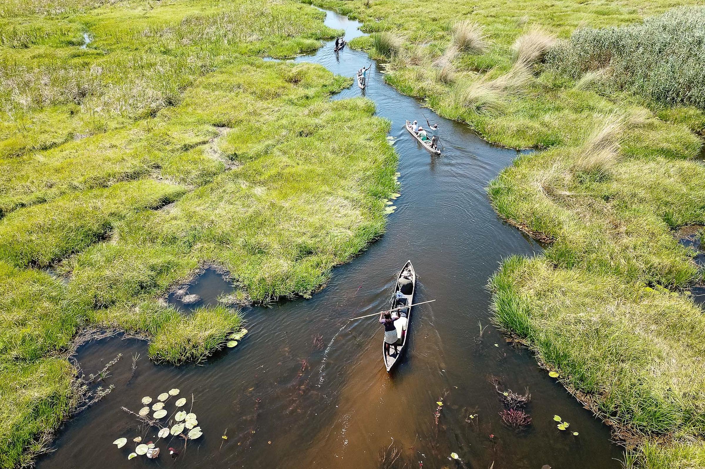 Botswana, Südafrika, Sambia (14 Tage)