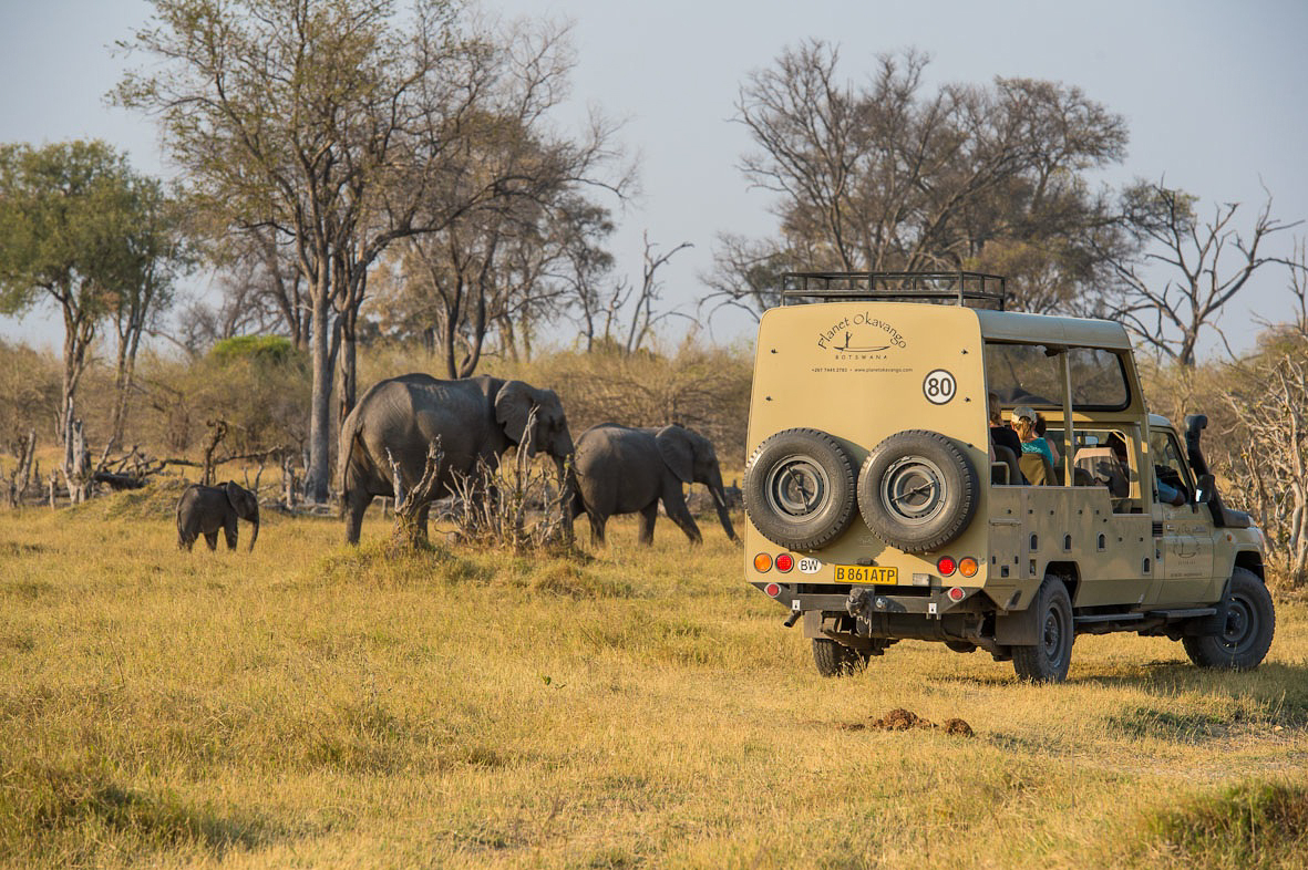 Botswana, Namibia, Sambia (21 Tage)