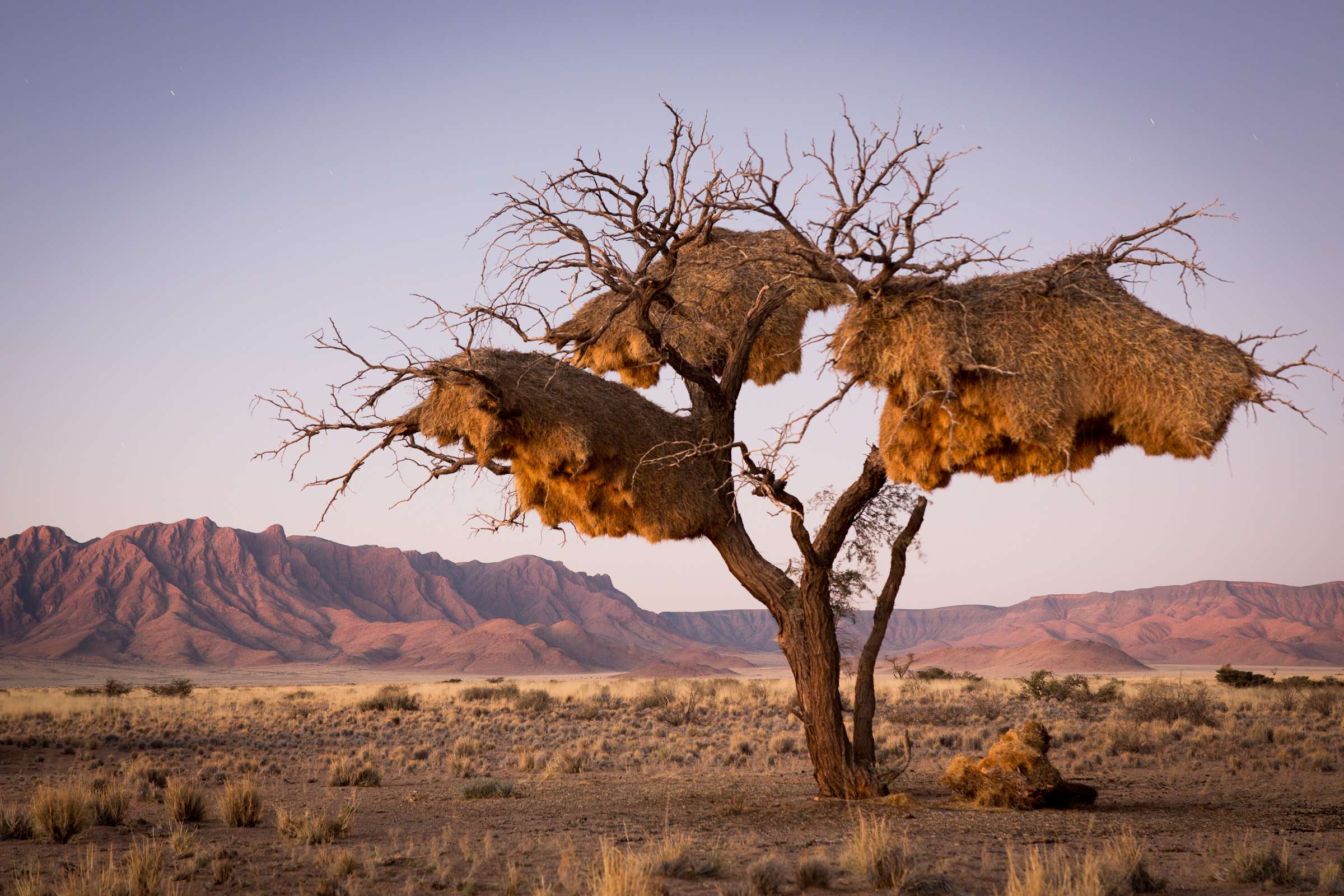 Namibia, Botswana, Simbabwe (21 Tage)