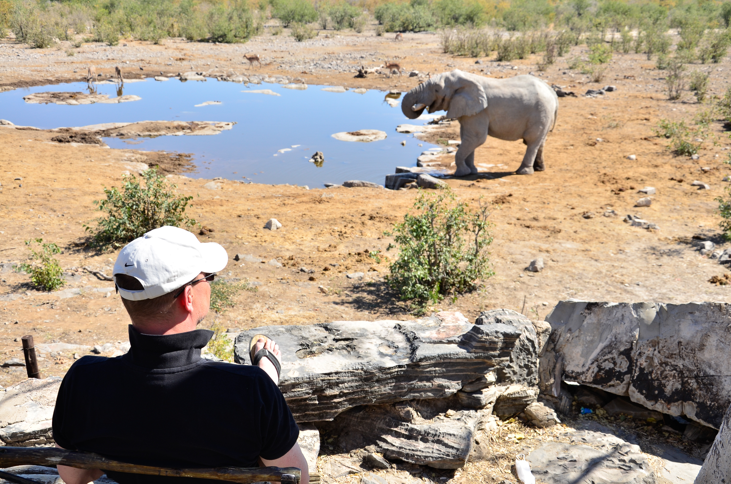 Namibia, Botswana, Simbabwe (15 Tage)