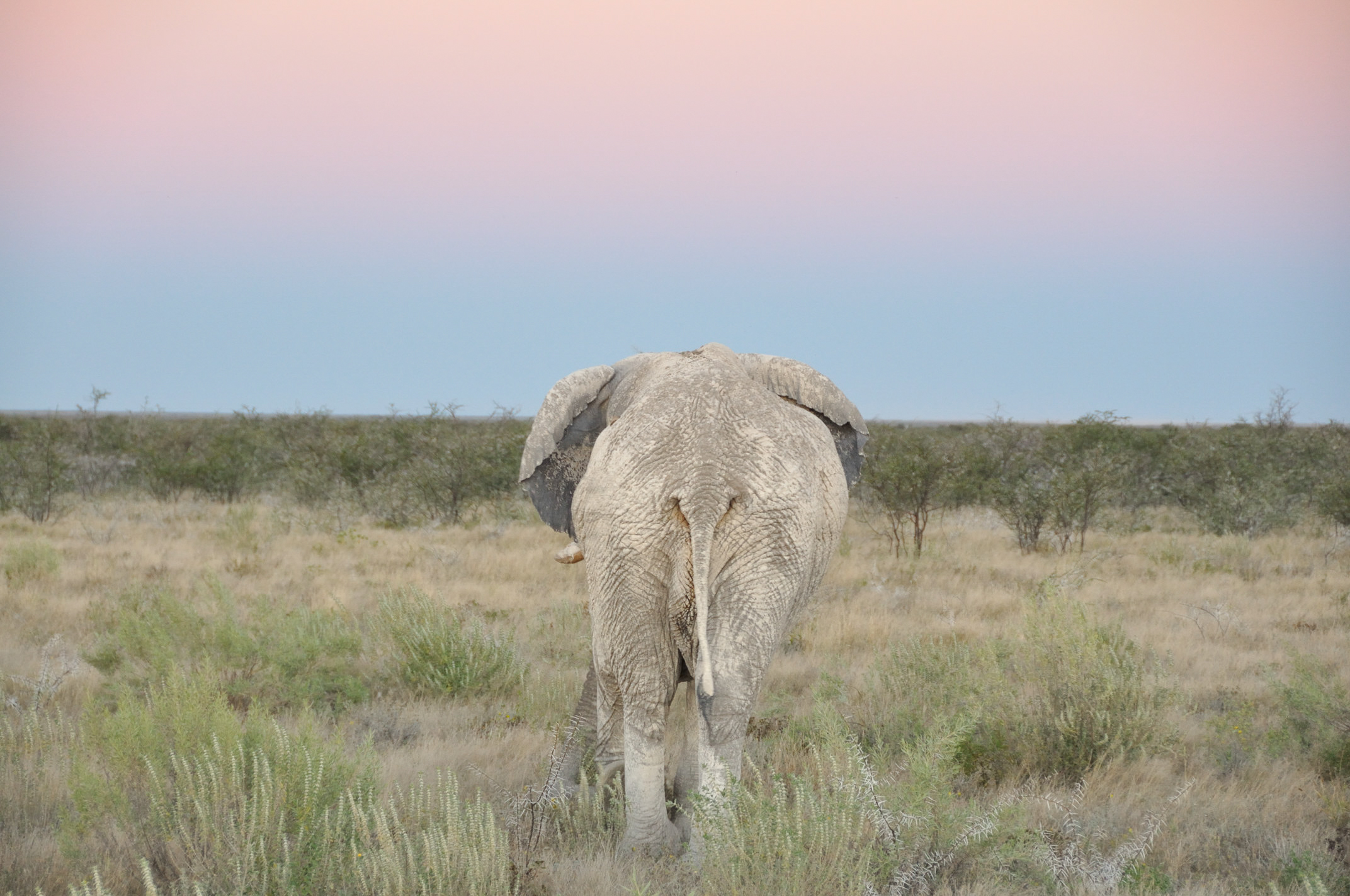 Namibia, Botswana, Simbabwe (15 Tage)