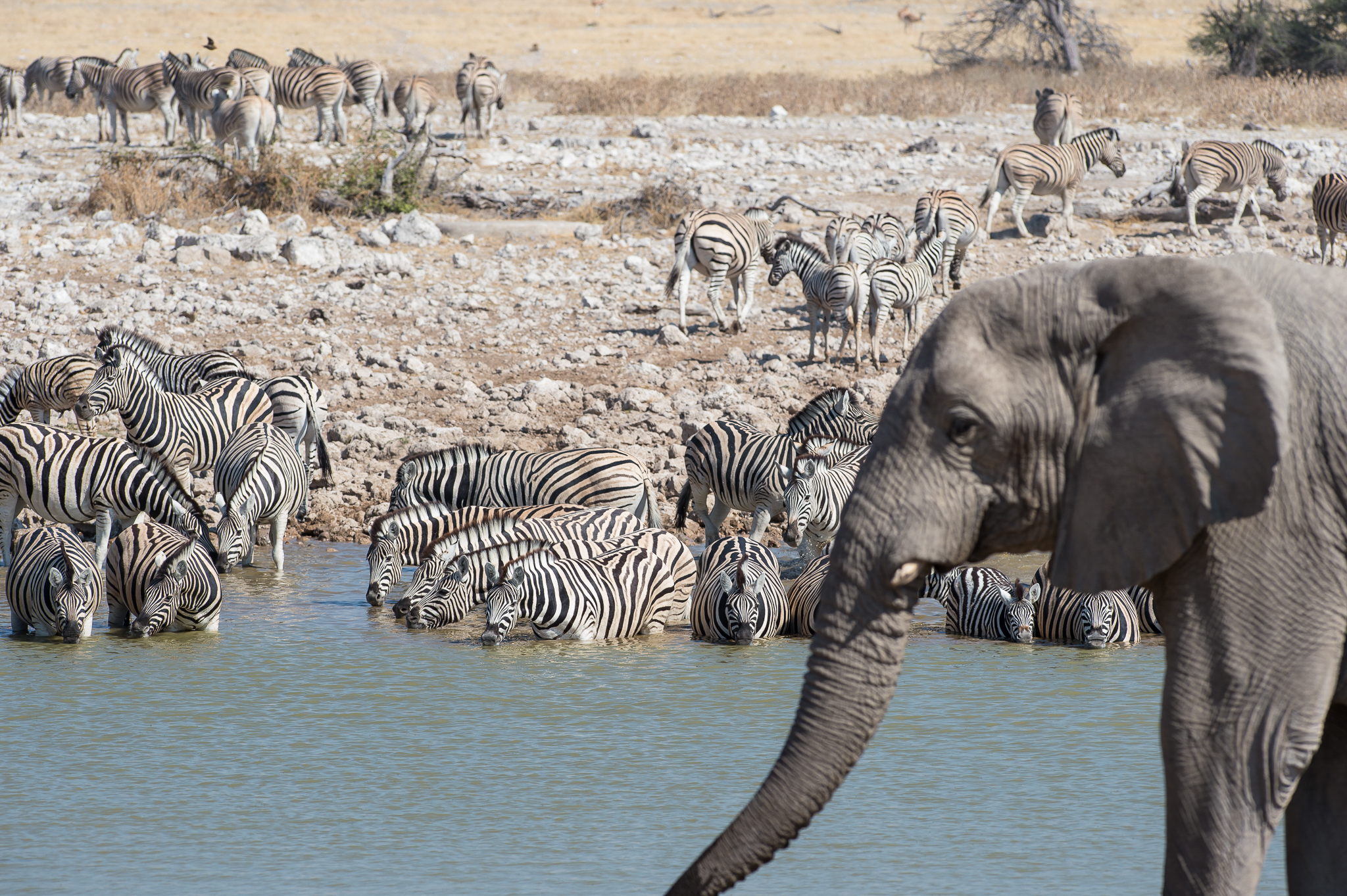 Namibia, Sambia (15 Tage)