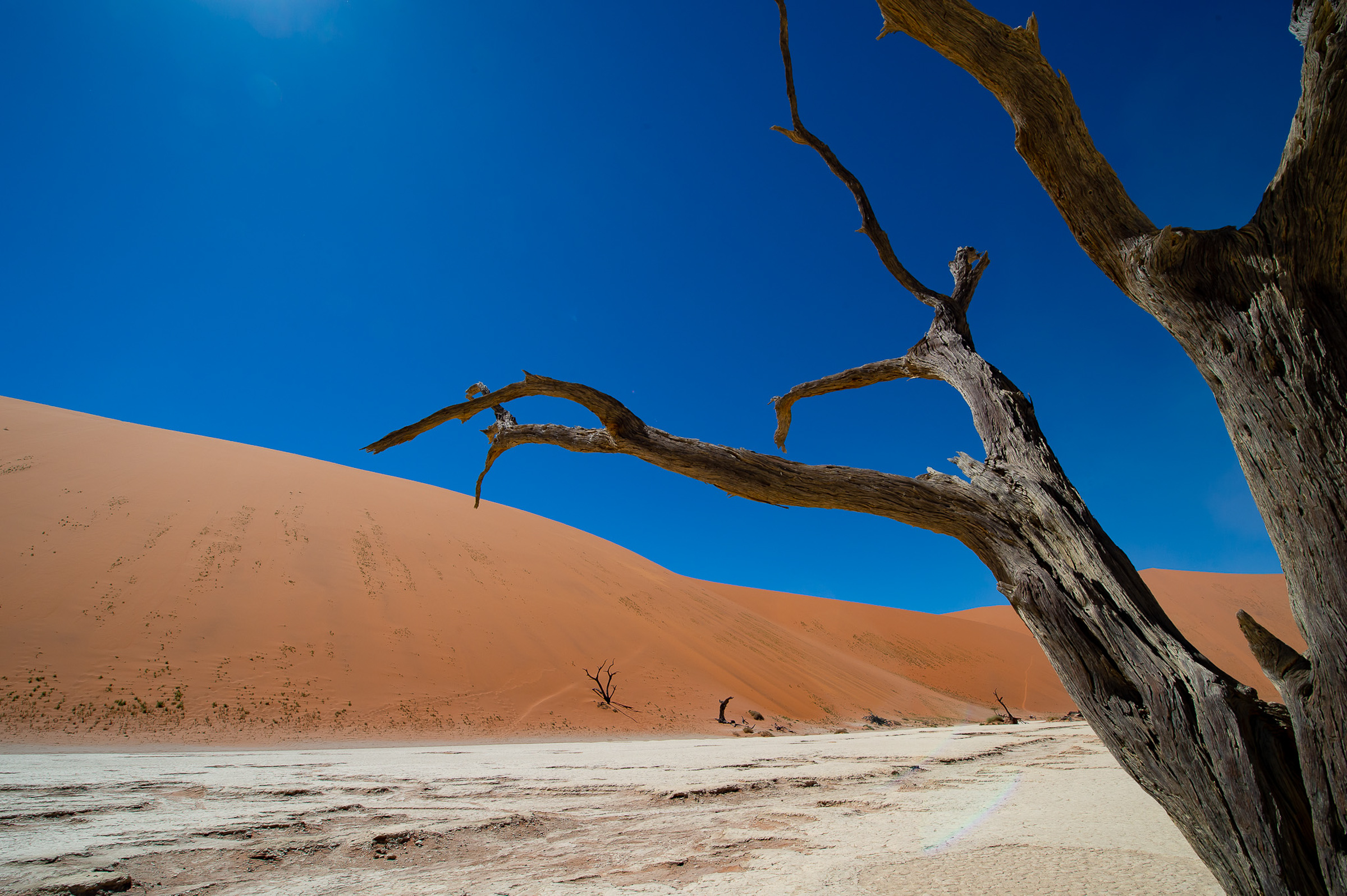 Namibia, Botswana, Sambia (21 Tage)