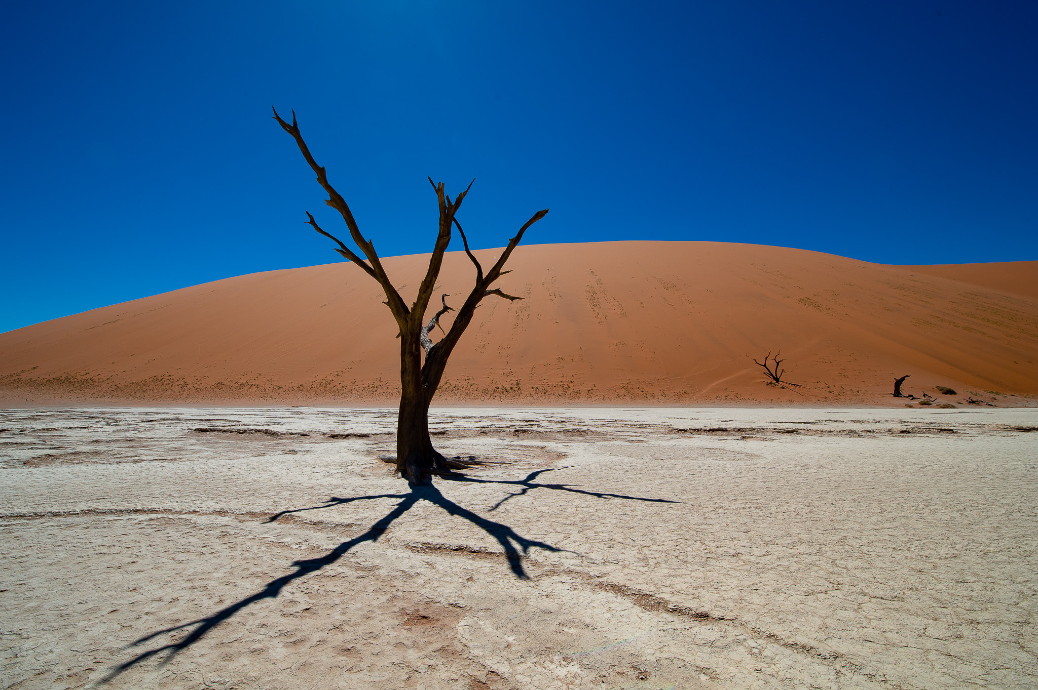Simbabwe, Südafrika, Botswana, Namibia (21 Tage)