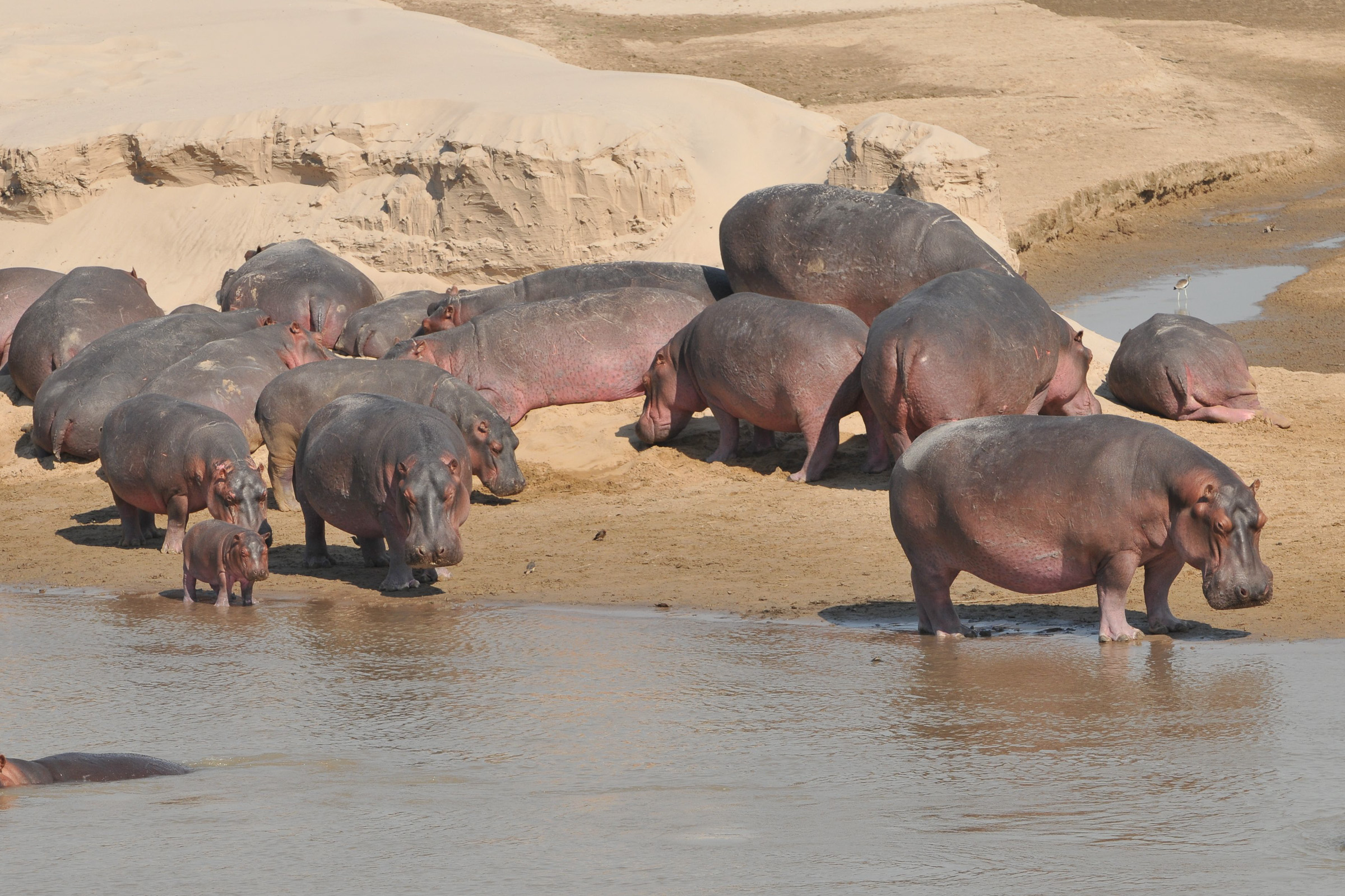Sambia, Malawi (16 Tage)