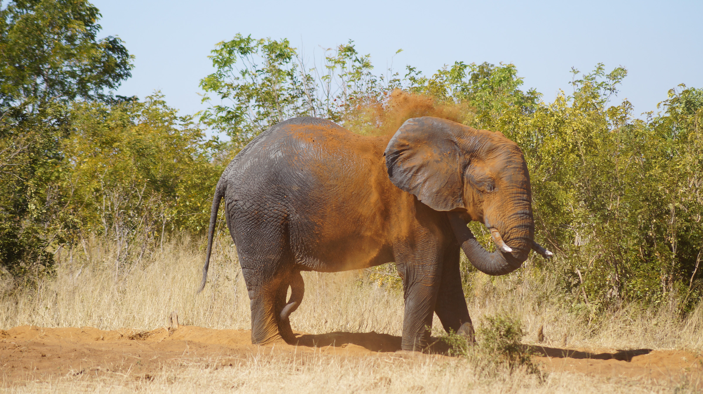 Mosambik, Malawi, Südafrika, Sambia (22 Tage)