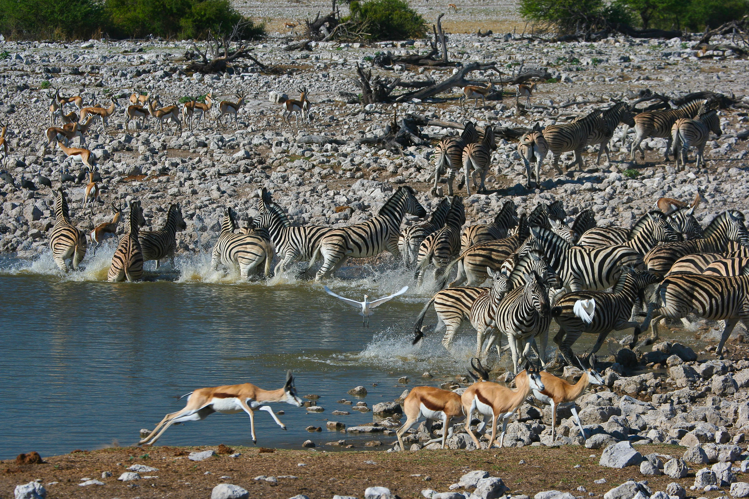 Südafrika, Botswana, Sambia (14 Tage)