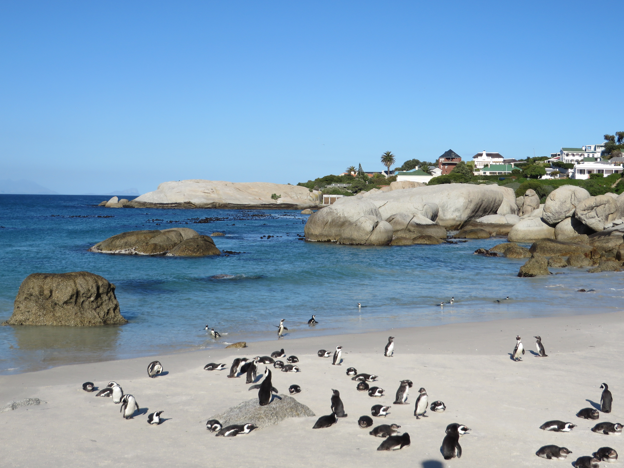 Südafrika, Namibia, Botswana, Simbabwe (21 Tage)